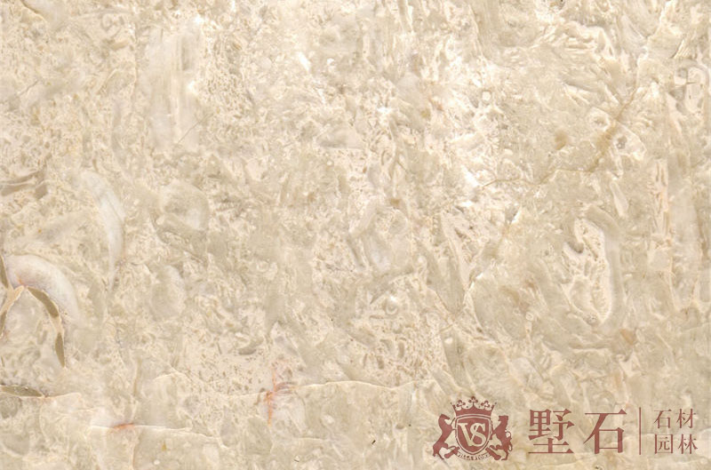 ZS-Noah Beige<